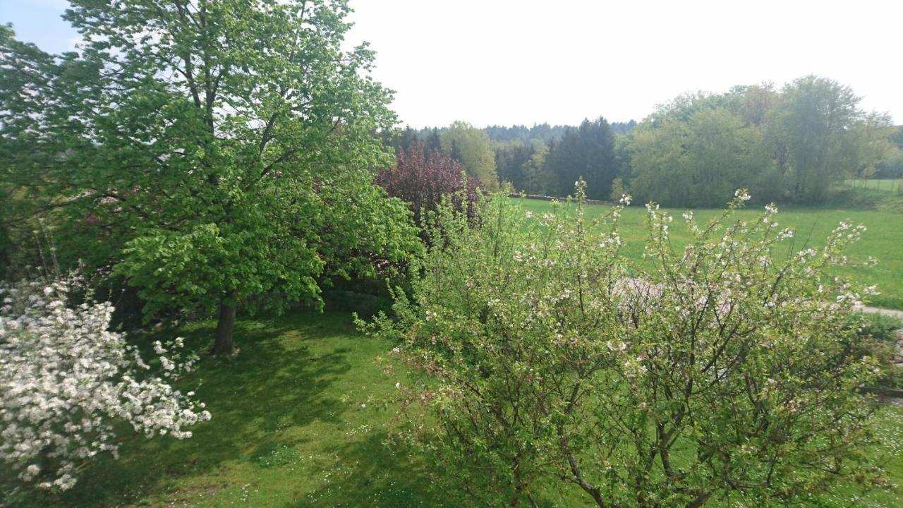 Ferienwohnung Lang Nittenau Esterno foto